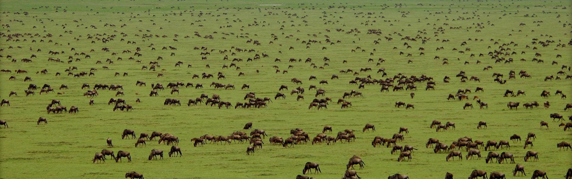 Serengeti National Park