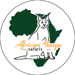 African Mangu Safaris